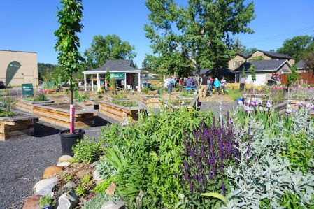 Photos by Maureen Flynn-Burhoe