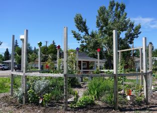 Photos by Maureen Flynn-Burhoe