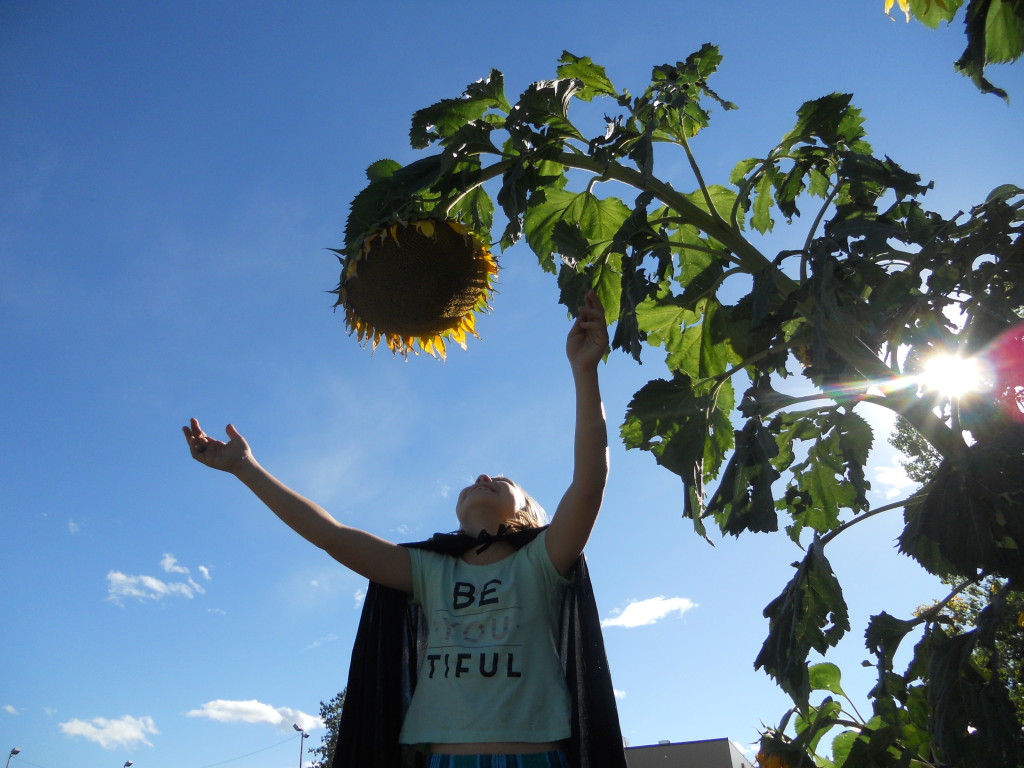 Fayre2015_Nikon 2015-09-20 4-01-49 AM